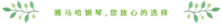 这才是真相：绿色关爱，K8凯发·国际官方网站的环境政策