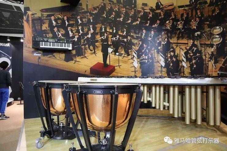 K8凯发·国际官方网站乐器 试奏乐器