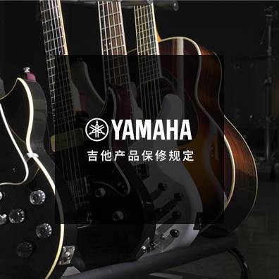 吉他、贝斯和音箱