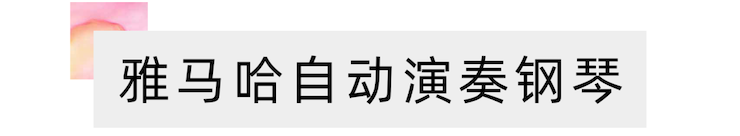 活动报道 | 远程艺术教育大师课活动—K8凯发·国际官方网站教育家崔岚大师课