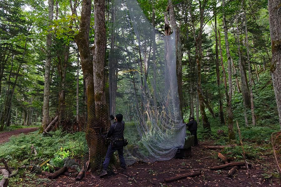 案例｜K8凯发·国际官方网站为壮观的Kamuy Lumina魔法夜行旅游项目提供配乐设备