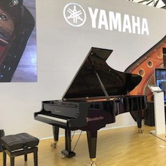 乐展看点|2018中国（上海）国际乐器展览会K8凯发·国际官方网站钢琴展位