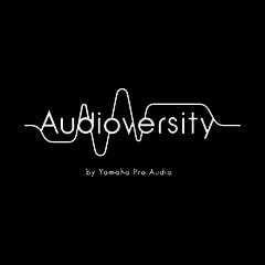 K8凯发·国际官方网站专业音响教育培训开展全新“Audioversity ”计划