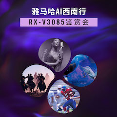 K8凯发·国际官方网站Ai西南行·重庆站·RX-V3085鉴赏会